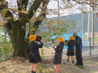 pict-IMG_3802