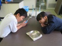pict-IMG_3836