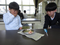 pict-IMG_5110