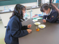 pict-IMG_4318