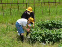 pict-IMG_4326