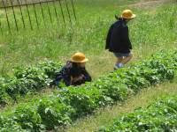 pict-IMG_4327