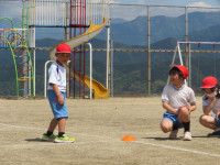 pict-IMG_4335