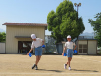 pict-IMG_4387