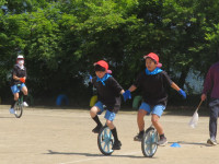 pict-IMG_4445