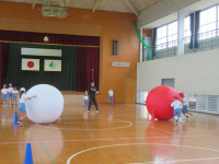 pict-IMG_4487