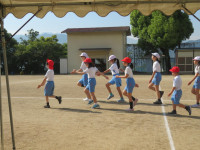 pict-IMG_4504