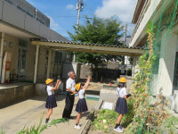 pict-IMG_6378