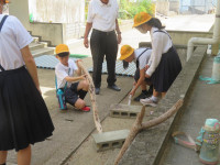 pict-IMG_6388