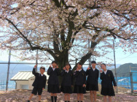 pict-IMG_2021