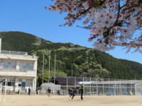 pict-IMG_2036