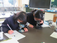 pict-IMG_2068