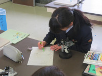pict-IMG_2069