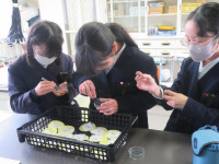 pict-IMG_2067