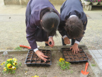 pict-IMG_2386