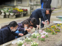 pict-IMG_2388