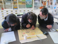pict-IMG_2397
