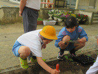 pict-IMG_2482
