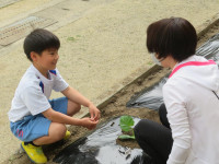pict-IMG_2489