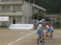 pict-IMG_2505