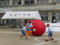 pict-IMG_2518
