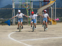 pict-IMG_2890