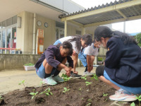 pict-IMG_2527