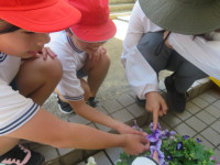 pict-IMG_2903
