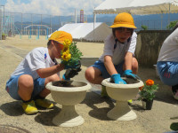pict-IMG_3030