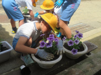 pict-IMG_3032