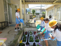 pict-IMG_3037