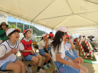 pict-IMG_4152
