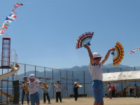 pict-IMG_4391
