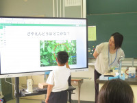 pict-IMG_5331
