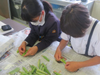 pict-IMG_5336