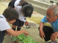 pict-IMG_5348