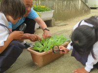 pict-IMG_5352