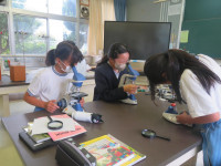 pict-IMG_5378