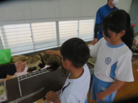pict-IMG_5399