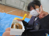 pict-IMG_5425