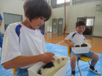 pict-IMG_5429