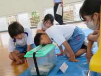pict-IMG_5436