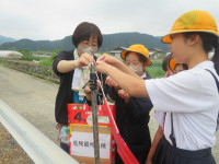 pict-IMG_5482