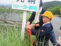 pict-IMG_5496