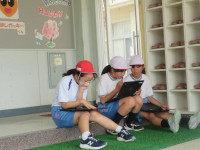 pict-IMG_5501