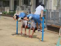 pict-IMG_5513