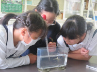 pict-IMG_5516