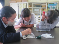 pict-IMG_5520