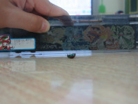 pict-IMG_6061