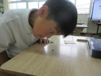 pict-IMG_6062